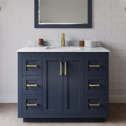 Miranda Single Bathroom Vanity - 42W x 33.75H x 22D - fpuzfbgl7nnsrupw2nom@2x.jpg