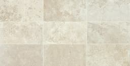 Uniche Beige Chiaro Rectangle 12X24 Matte - fqaln4rtwdhw8808iehj@2x.jpg