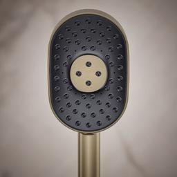 Statement 1.75 GPM Multi Function Hand Shower with MasterClean Sprayface and Katalyst Air Induction Technology - fqrhn4oyycel8awv07e1@2x.jpg