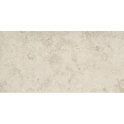 SILQUE LIGHT R11 12X24 - ftruyaroysv0ejvxmnfy@2x.jpg