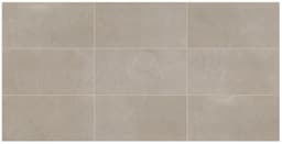 Classentino Marble Coliseum Gray Rectangle 12X24 Matte - fwdyucpydvreblrzekq5@2x.jpg