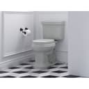 Bancroft Double Post Toilet Paper Holder - fxaed50fhnqehtduwctx@2x.jpg