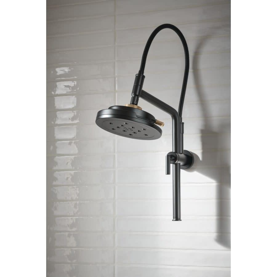 Litze 1.75 GPM Multi Function Shower Head - fxafcggzrheuzse1xyqn@2x.jpg
