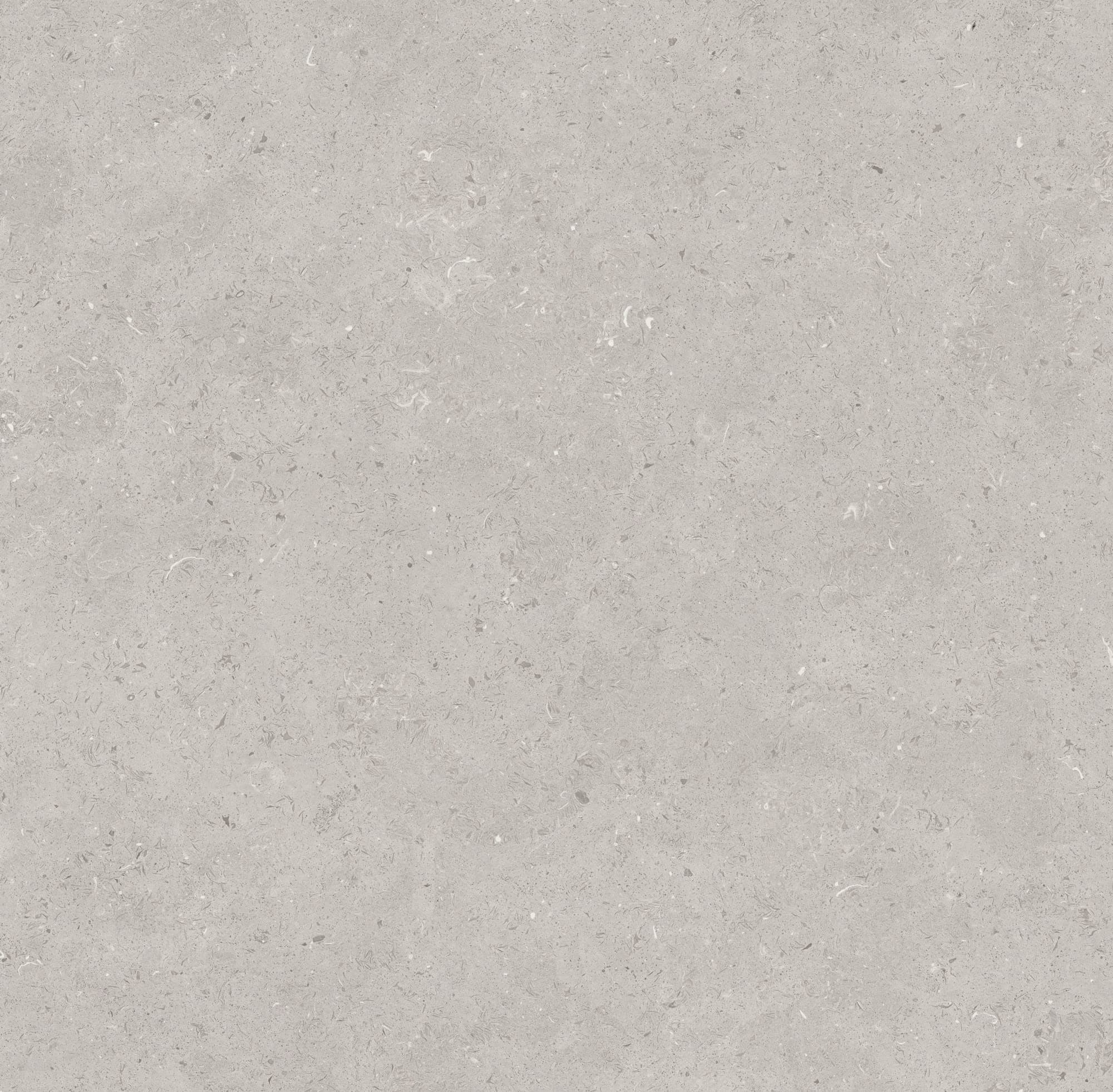 LIMESTONE GREY 24X48