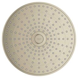 Euphoria® Multi Function Shower Head, 10 in Dia, 1.75 gpm, Brushed Nickel - fzpcyajmyjyoyqwbwto6@2x.jpg