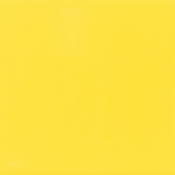 Color Wheel Classic Sunflower Rectangle 3X6 Glossy - g1ckwixr0ug07vn1bju4@2x.jpg