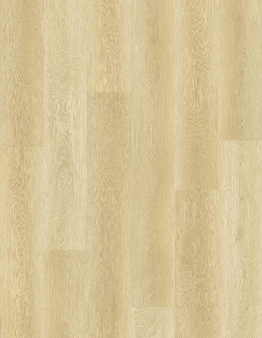 Sahara Sandstone - g1wsqwmdhsph5jmwplad@2x.jpg