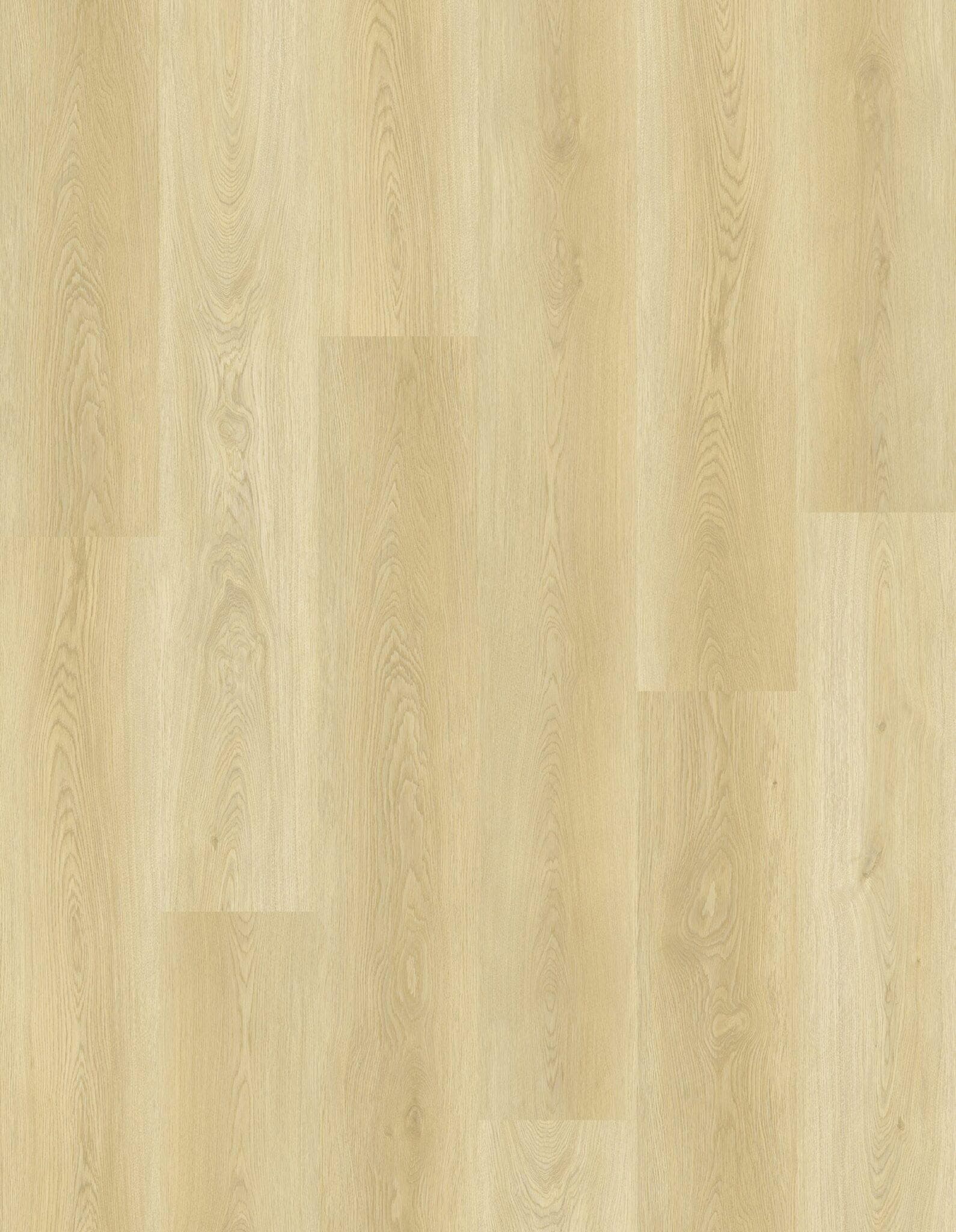 Sahara Sandstone