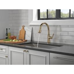 Coranto 1.8 GPM Single Hole Pull Down Kitchen Faucet with Magnetic Docking Spray Head and ShieldSpray - g2d4k5s0c1ximdalt70q@2x.jpg