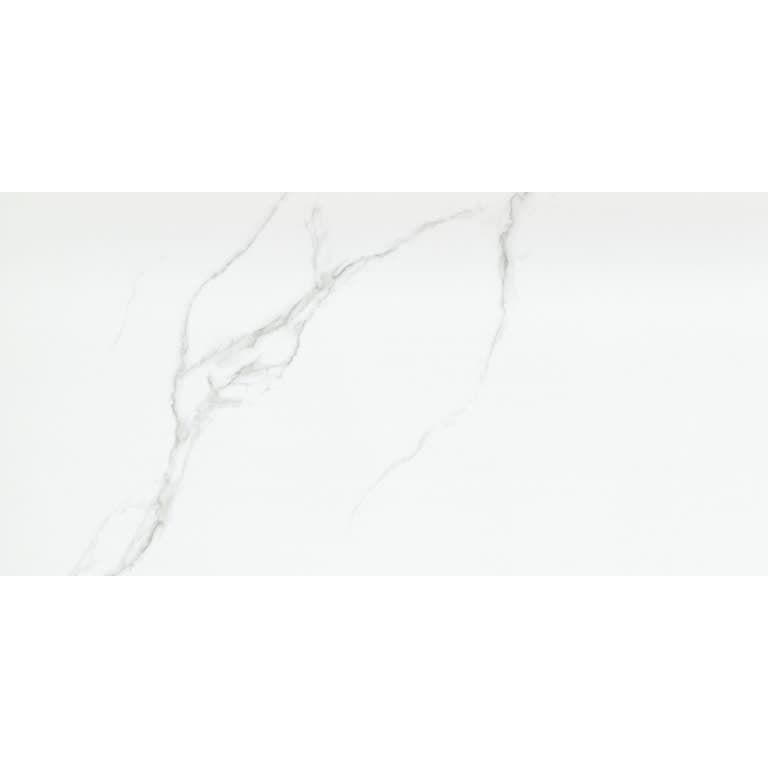 DUCHESSA SILVER MT 12X24 - g2ki9mk5m7n0zxvbuoi4@2x.jpg