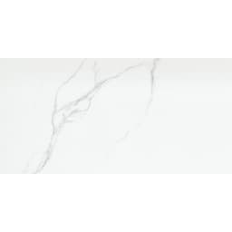 DUCHESSA SILVER MT 12X24 - g2ki9mk5m7n0zxvbuoi4@2x.jpg