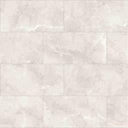 SAVINO ARGENT PL 12X24 - g2nfqzybfmrb1sxxutsl@2x.jpg