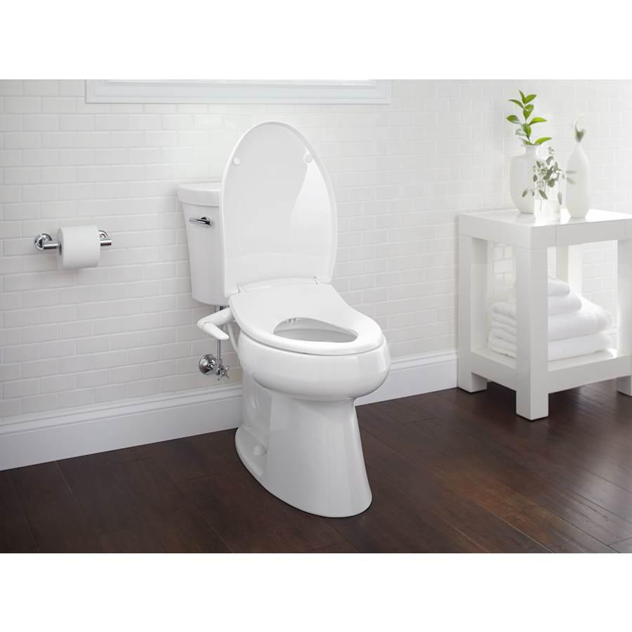 Purist Wall Mounted Pivoting Toilet Paper Holder