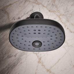 Statement 2.5 GPM Multi Function Shower Head with MasterClean Sprayface and Katalyst Air Induction Technology - g5nsp9dfiyplf1xgizdw@2x.jpg