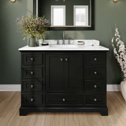 Deborah Single Bathroom Vanity - 48W x 35H x 22D - g5u1rz27kamzdcuybxgk@2x.jpg