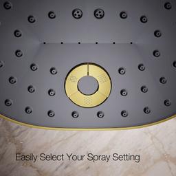 Statement 2.5 GPM Multi Function Shower Head with MasterClean Sprayface and Katalyst Air Induction Technology - g7c4fxyadj7hwa3hri9s@2x.jpg