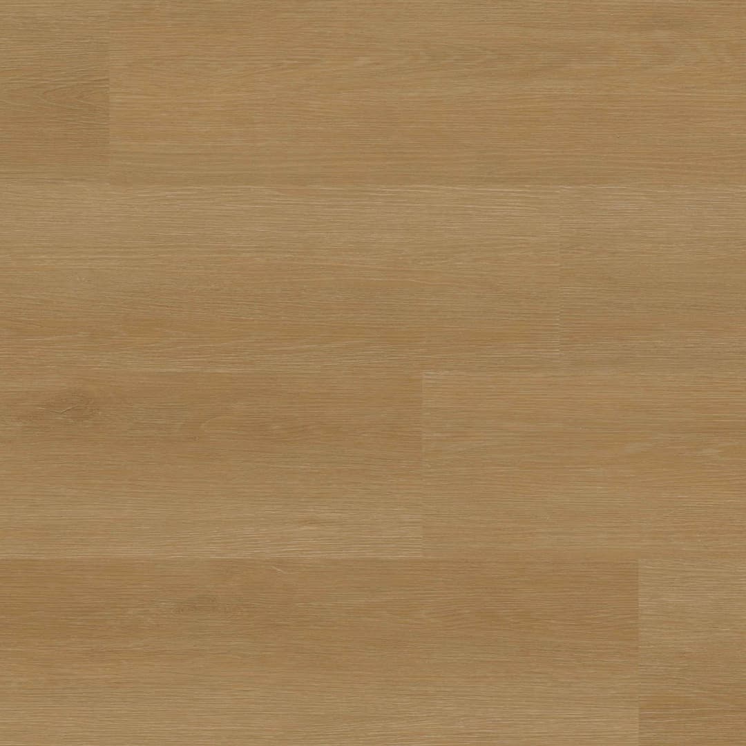 XL StudioTM Taos - g8wweof4fagnumqyfbgg@2x.jpg