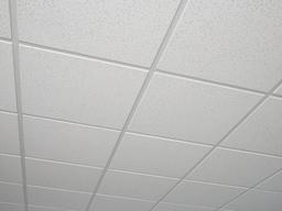 2 ft. x 2 ft. Radar Basic White Square Edge Lay-In Ceiling Tile, case of 4 (16 sq. ft.) - gallery-large.876.657@2x.jpg