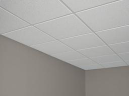 2 ft. x 2 ft. Radar Basic White Square Edge Lay-In Ceiling Tile, case of 4 (16 sq. ft.) - gallery-large.876.657_1_x500.jpg