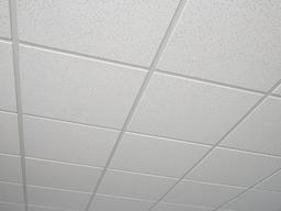 2 ft. x 2 ft. Radar Basic White Square Edge Lay-In Ceiling Tile, case of 4 (16 sq. ft.) - gallery-large.876.657_x500.jpg