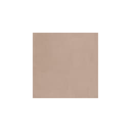 PIGMENTS TAN (Make to order) - gastn5ojhnnmxnhpes4c@2x.jpg