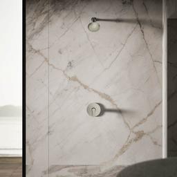 Forte 2.5 GPM Single Function Shower Head with Katalyst Air-induction Technology - gbkjmnidsfzsvc6eor7h@2x.jpg