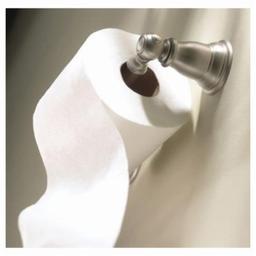 Kingsley® Toilet Paper Holder, Wall Mount, Brushed Nickel - gcmtqfk9yioiihozzhpg@2x.jpg