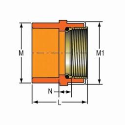 FlameGuard® Adapter, 3/4 in, Socket x Brass FNPT, CPVC - gdrpnkvrzzbjujjpykux@2x.jpg