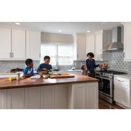 VoiceIQ Module for Delta Touch Activated Kitchen Faucets - gdz6c8mdsjtig1hknwwb@2x.jpg