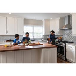VoiceIQ Module for Delta Touch Activated Kitchen Faucets - gdz6c8mdsjtig1hknwwb_x500.jpg