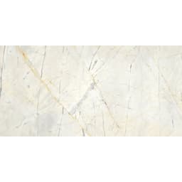 NIEVE BIANCA HN 12X24 - gg72secgvjfxz9mbobys@2x.jpg