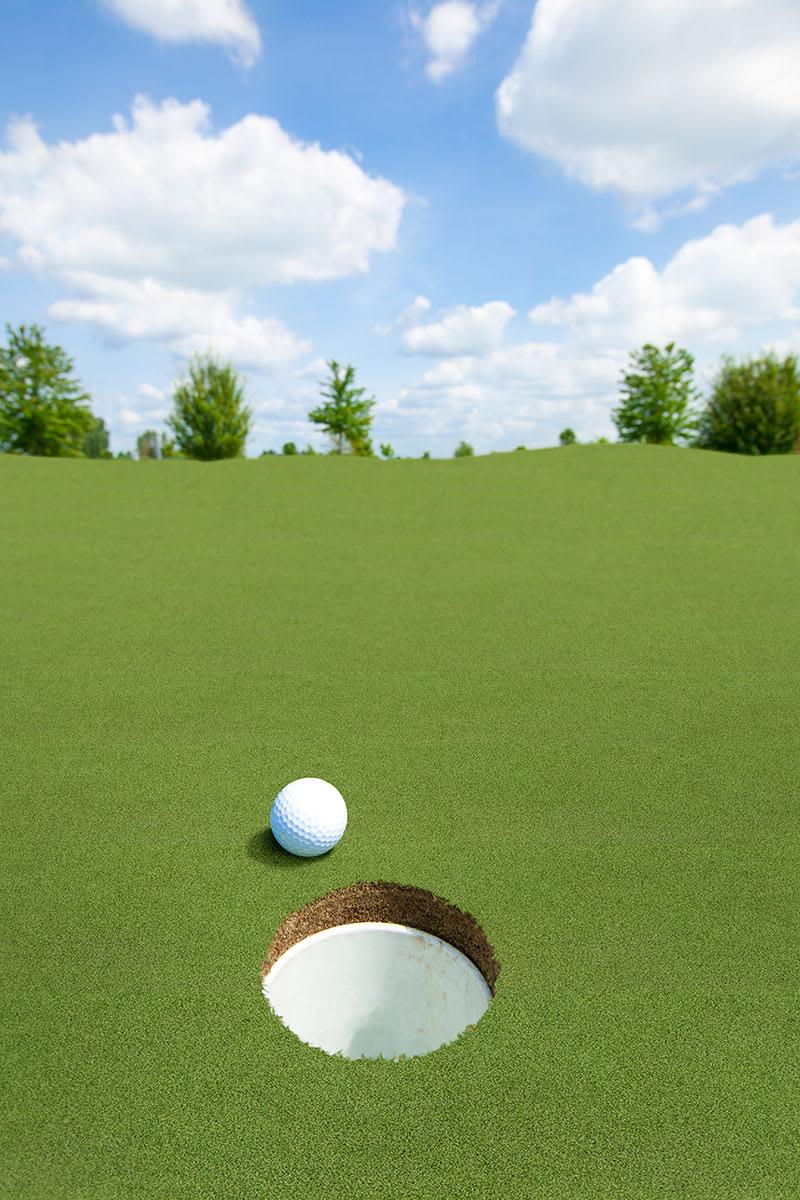 PUTTING GREEN TURF 78 - ghsjyosdwqrto2eyndj7@2x.jpg