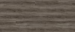Coyote Brush - gi1u8jkspopbhcs1dick@2x.jpg