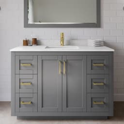 Miranda Single Bathroom Vanity - 48W x 33.75H x 22D - gjbdemflikav5ek7iatc@2x.jpg