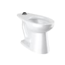Efficiency Elongated ADA Height Toilet - Less Flushometer and Seat - gkdjuhkkdselp3n1jcq0@2x.jpg