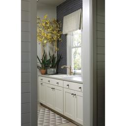 Cassidy Pull-Out Kitchen Faucet - Includes Lifetime Warranty - gkjjrip5t9zzwy0ekrjr_x500.jpg