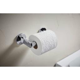 Components Wall Mounted Pivoting Toilet Paper Holder - gnadvwxinqr2zkes0wbo@2x.jpg