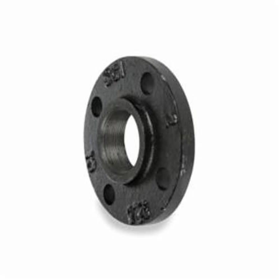 Companion Flange, 1-1/4 in, FNPT, 4-5/8 in OD, Malleable Iron, Black - go7cc0yfeidjwil3flq5@2x.jpg