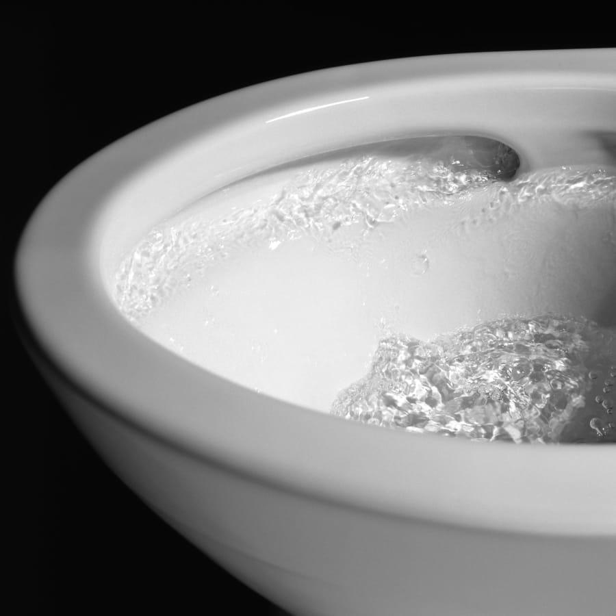 Drake II Elongated Toilet Bowl Only with CeFiONtect Ceramic Glaze - gomse9xyezhiunsbvnuz@2x.jpg