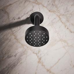 Awaken 1.5 GPM Single Function Shower Head - gpsniynocighjnltdpyd@2x.jpg