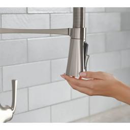 Graze 1.5 GPM Single Hole Pre-Rinse Pull Down Kitchen Faucet - gseehhdoofd5zqqzarm9@2x.jpg