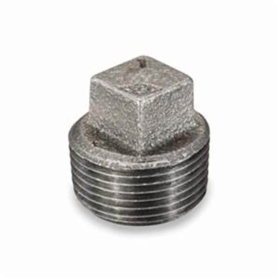 Square Head Plug, 1/8 in, MNPT, 150 lb, Malleable Iron, Black - gsgjrfqnf8idppz1bbcx@2x.jpg