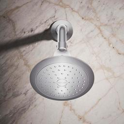 Forte 2.5 GPM Single Function Shower Head with Katalyst Air-induction Technology - gsulhr3myhdzttz7s65t@2x.jpg
