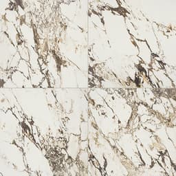 Panoramic Duet Calacatta Aries Square 48X48 Matte - gtizssdcpp2ekjlsjyt7@2x.jpg