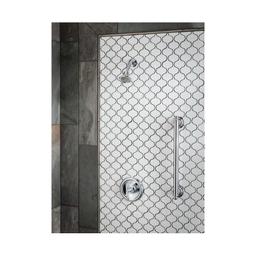 Brantford™ Pressure Balanced Shower Trim, ADA, Polished Chrome - gtjnzqobtm1ripaf0poz@2x.jpg