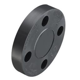 Blind Flange, 2-1/2 in, Blind, PVC, SCH 80/XH - gxjpgcqhtzhykgqqsxa2_800x500@2x.jpg