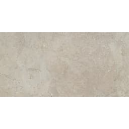 TERRAMOR FULVO HN 12X24 - gxxgamhoes3su0mzrbdt@2x.jpg