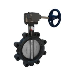 Lug Style Butterfly Valve, Gear Operator, 8 in, Flange, Ductile Iron - gxym9uffhc7os0tfu7zf@2x.jpg