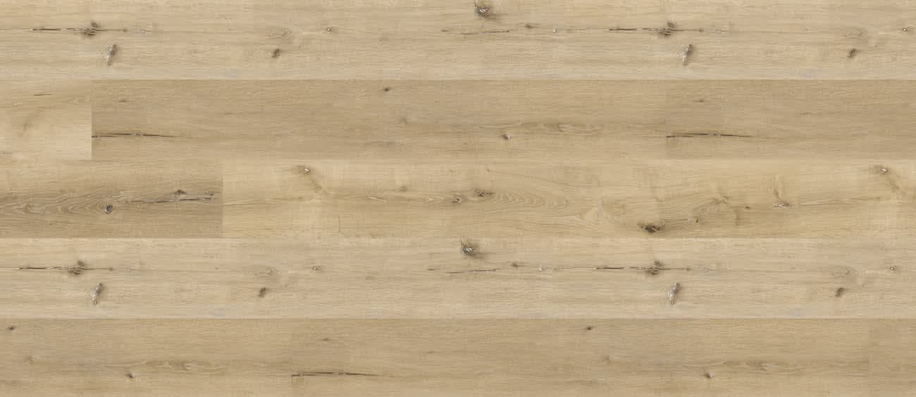 Chestnut Oak