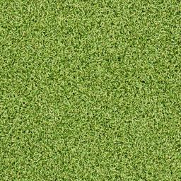 PUTTING GREEN TURF 78 - gyq3vm9ife3jhvs9sdqc@2x.jpg